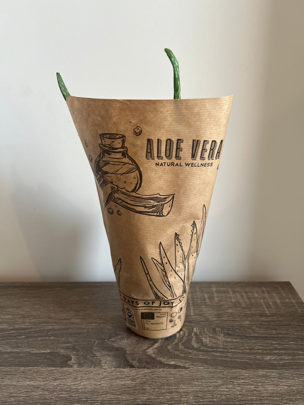 Aloe Vera